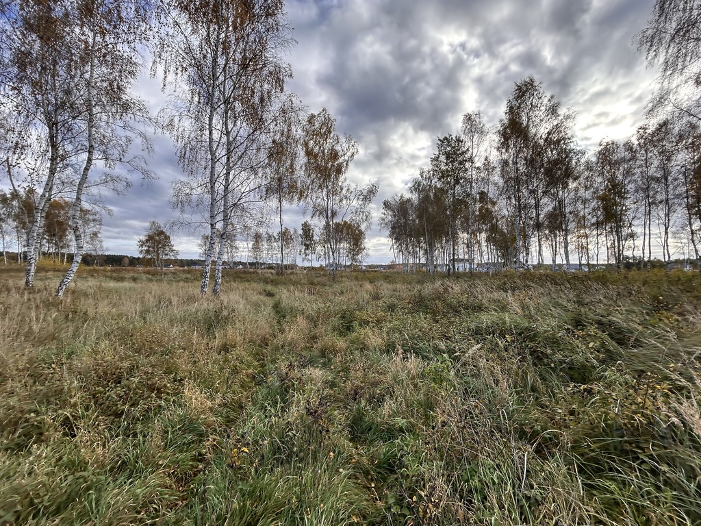Działka na sprzedaż Niedźwiedź 2 103 m2 | Arka Nieruchomości