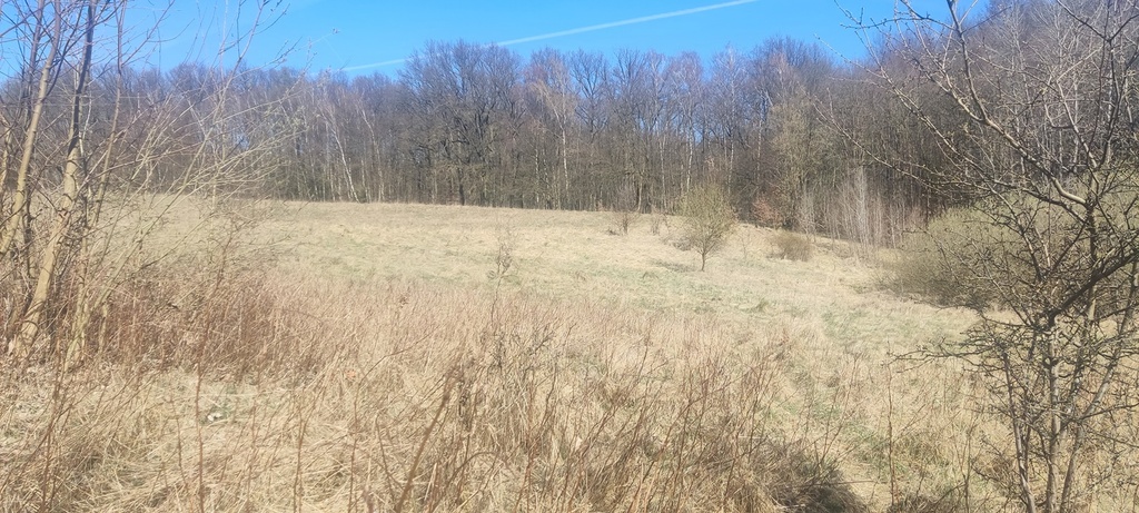 Działka na sprzedaż Linówko 1 870 m2 | Arka Nieruchomości