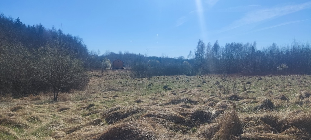 Działka na sprzedaż Linówko 1 870 m2 | Arka Nieruchomości