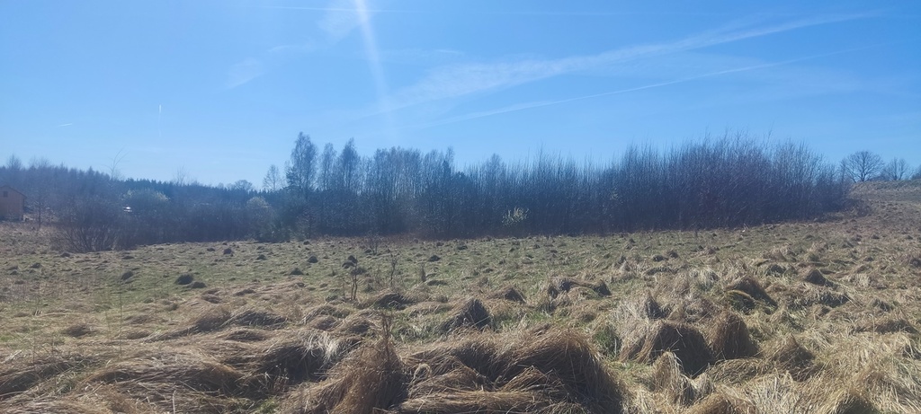 Działka na sprzedaż Linówko 1 870 m2 | Arka Nieruchomości