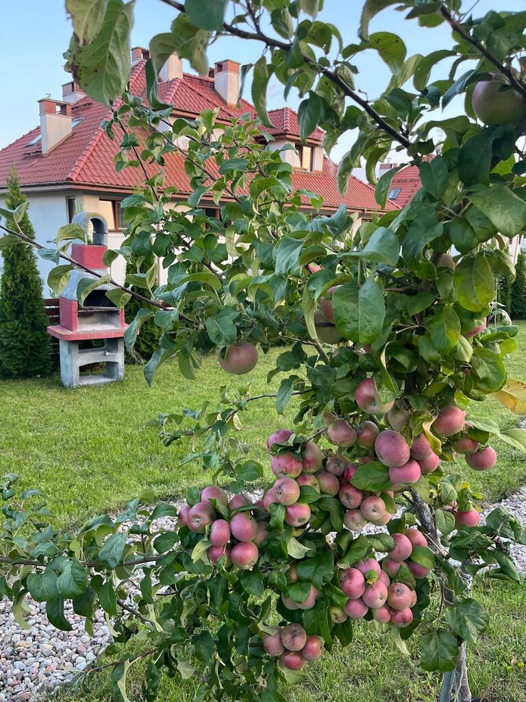 Mieszkanie na sprzedaż Siadło Dolne 123 m2 | Arka Nieruchomości
