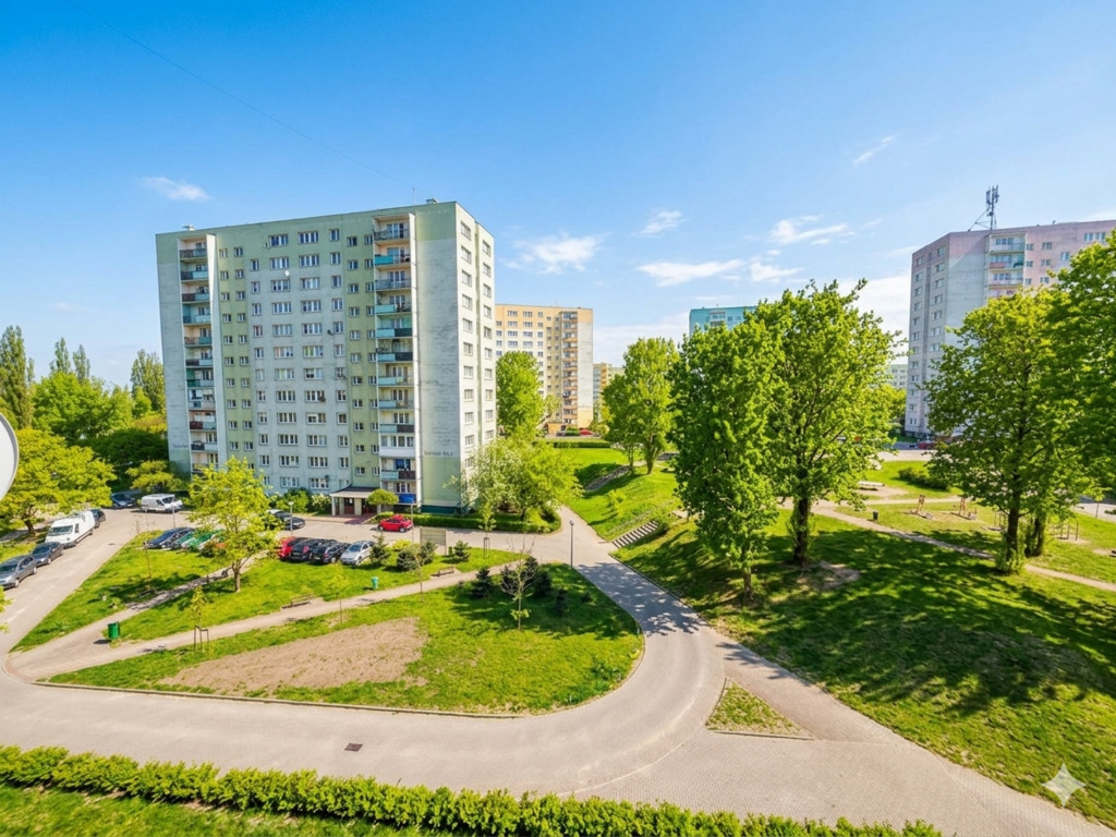 Zdjęcie 13