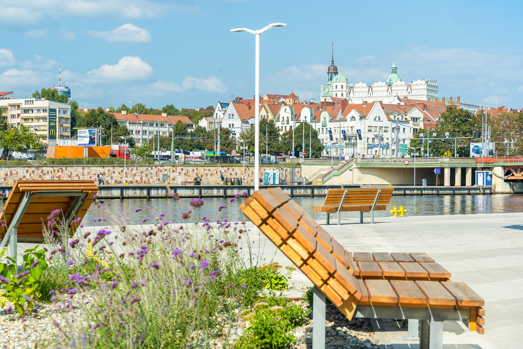 Zdjęcie 14