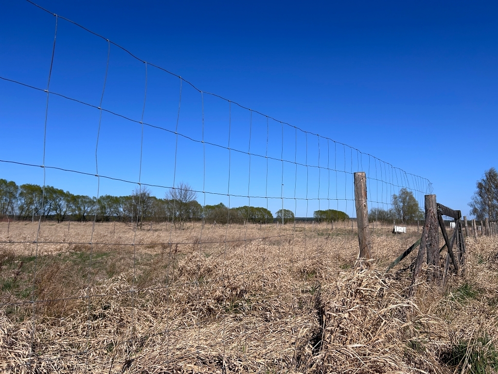 Działka na sprzedaż Dobra 1 066 m2 | Arka Nieruchomości