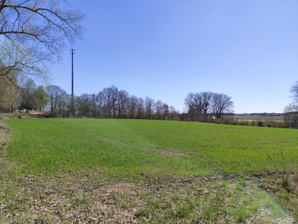 Działka na sprzedaż Wojcieszyn 12 200 m2 | Arka Nieruchomości