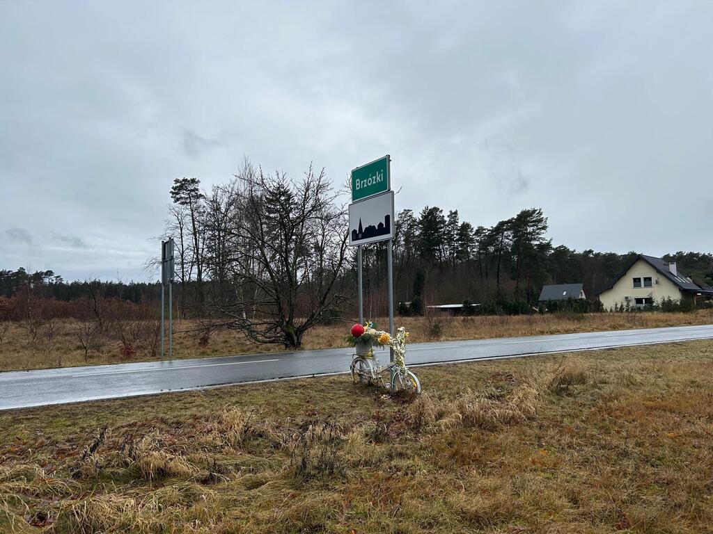 Działka na sprzedaż Brzózki 1 271 m2 | Arka Nieruchomości
