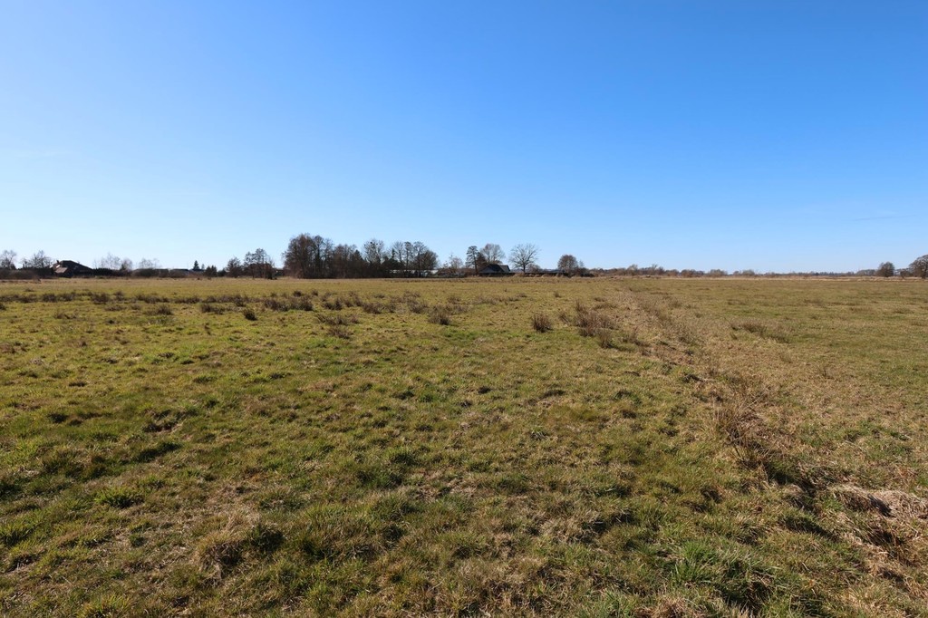 Działka na sprzedaż Lubczyna 3 717 m2 | Arka Nieruchomości