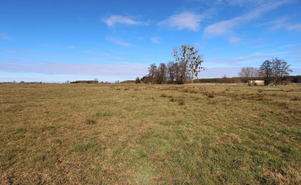 Działka na sprzedaż Lubczyna 3 717 m2 | Arka Nieruchomości