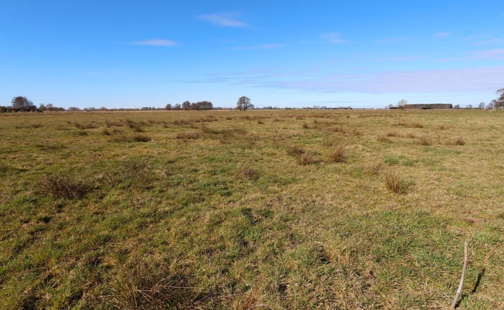 Działka na sprzedaż Lubczyna 3 717 m2 | Arka Nieruchomości