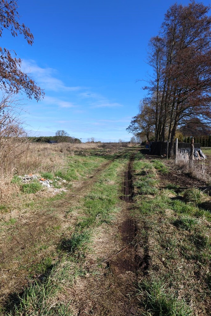 Działka na sprzedaż Lubczyna 3 717 m2 | Arka Nieruchomości