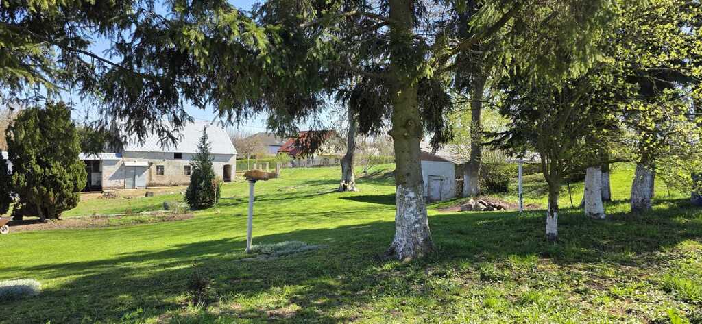 Dom na sprzedaż Smolęcin 350 m2 | Arka Nieruchomości