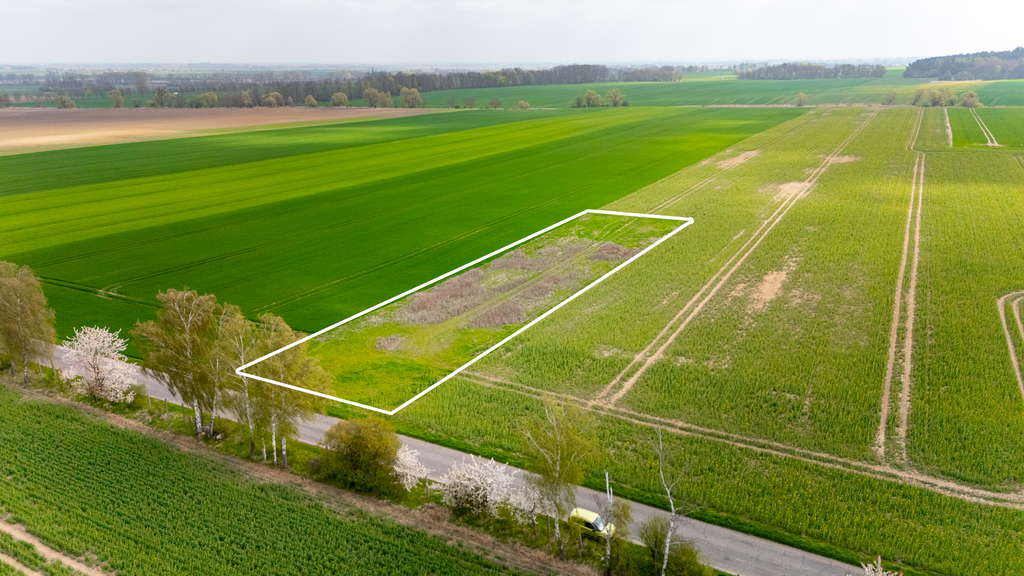 Działka na sprzedaż Pyrzyce 2 997 m2 | Arka Nieruchomości