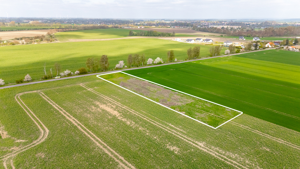 Działka na sprzedaż Pyrzyce 2 997 m2 | Arka Nieruchomości