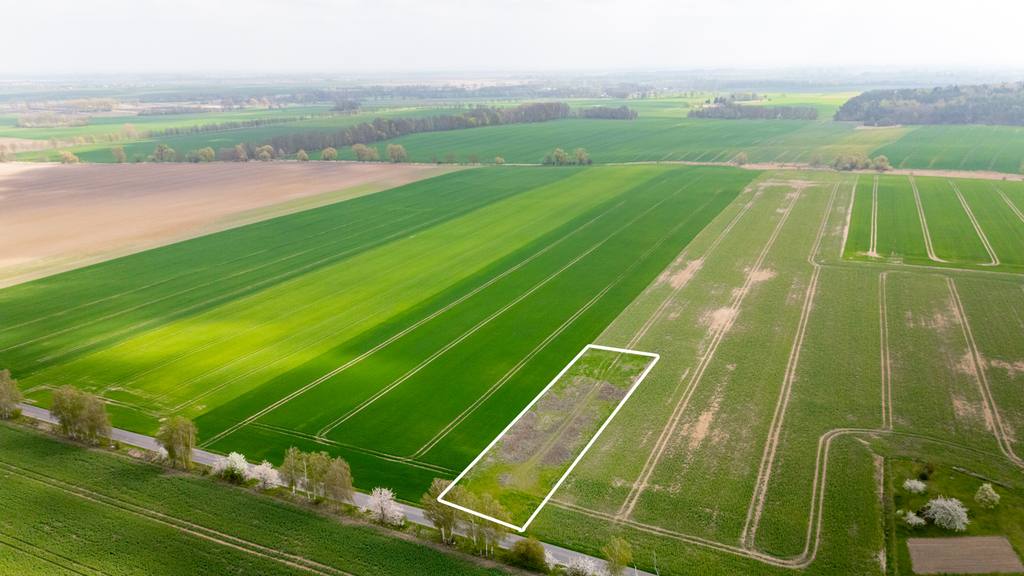 Działka na sprzedaż Pyrzyce 2 997 m2 | Arka Nieruchomości