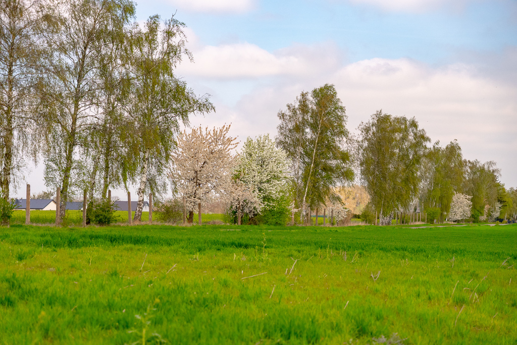 Działka na sprzedaż Pyrzyce 2 997 m2 | Arka Nieruchomości