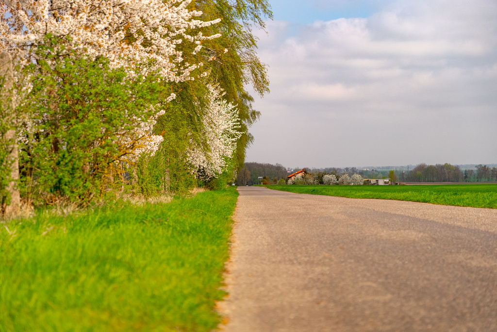 Działka na sprzedaż Pyrzyce 2 997 m2 | Arka Nieruchomości