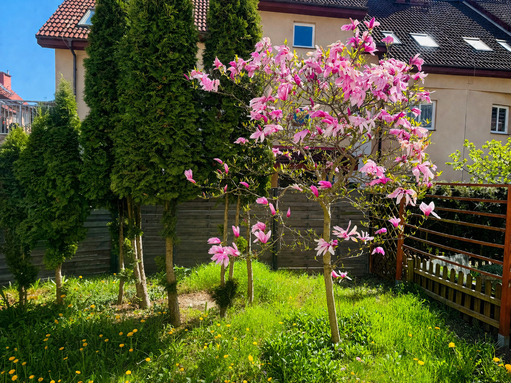 Mieszkanie na sprzedaż Bezrzecze 74 m2 | Arka Nieruchomości