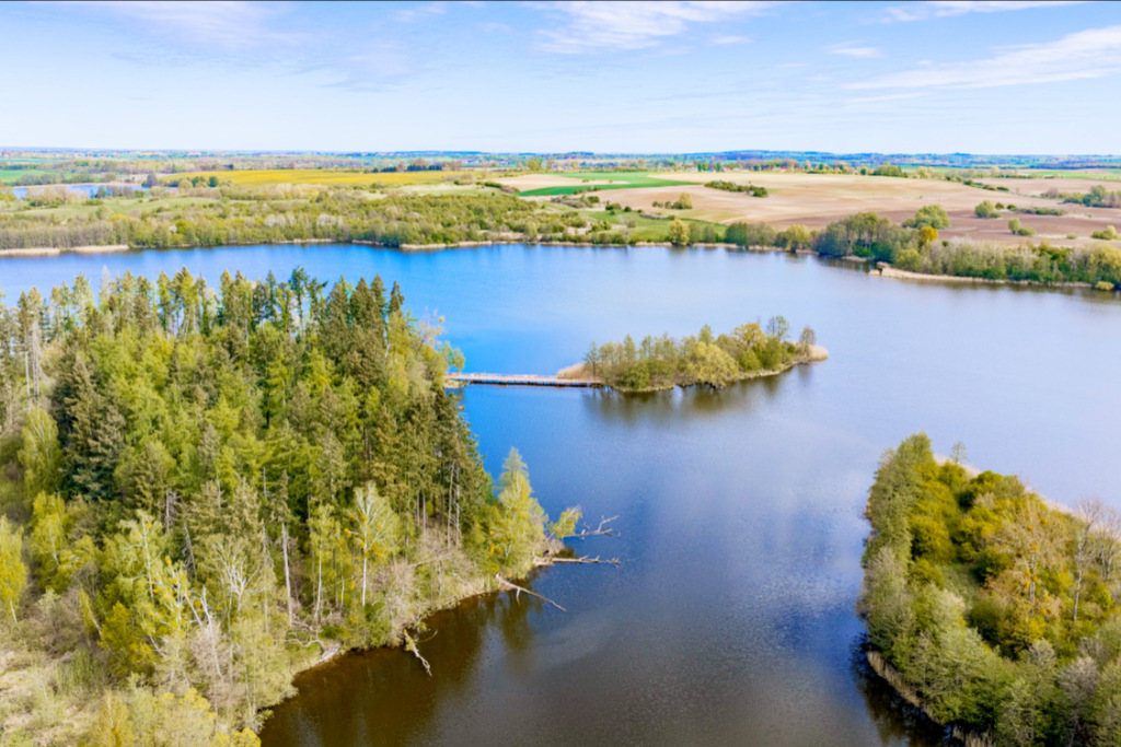 Działka na sprzedaż Lipiany 3 030 m2 | Arka Nieruchomości