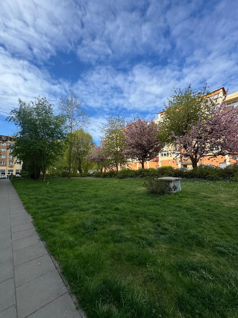 Mieszkanie na sprzedaż Szczecin, Centrum 57 m2 | Arka Nieruchomości