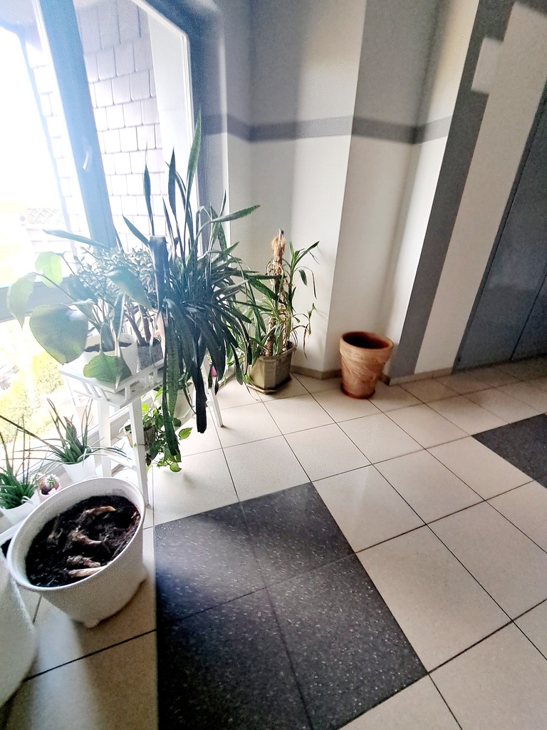 Mieszkanie na wynajem Szczecin, Warszewo 82 m2 | Arka Nieruchomości