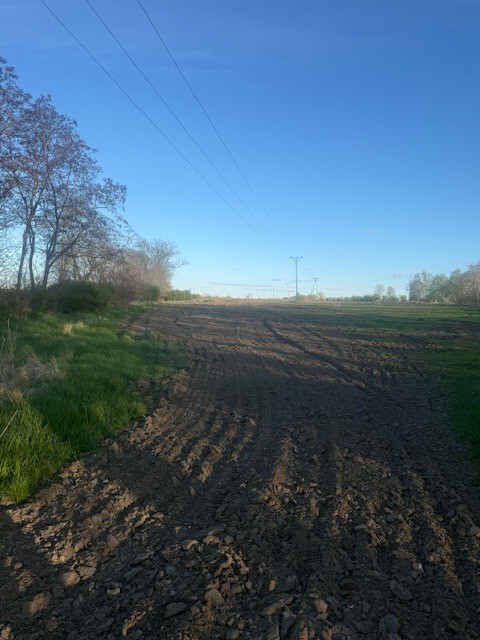 Działka na sprzedaż Pyrzyce 1 000 m2 | Arka Nieruchomości