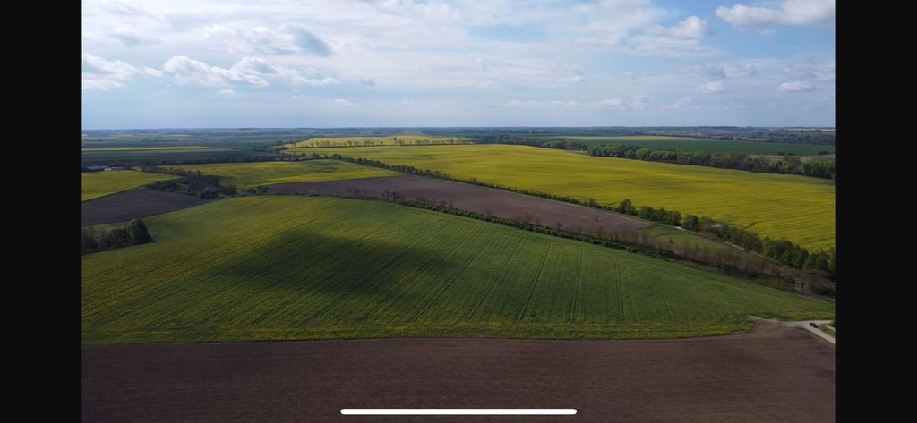 Działka na sprzedaż Pyrzyce 1 000 m2 | Arka Nieruchomości