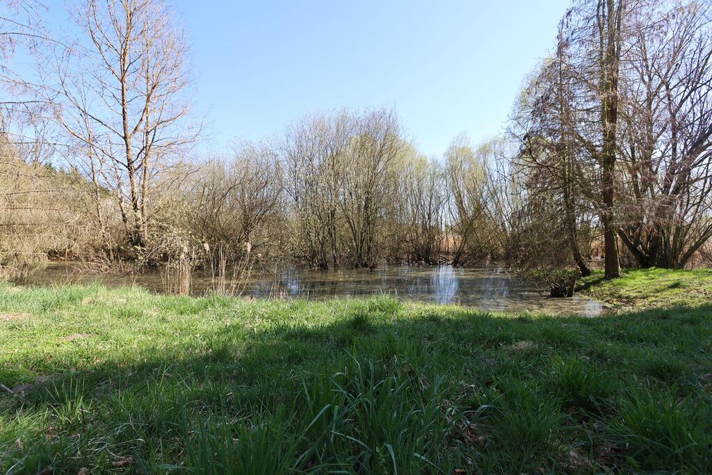 Dom na sprzedaż Długie 63 m2 | Arka Nieruchomości