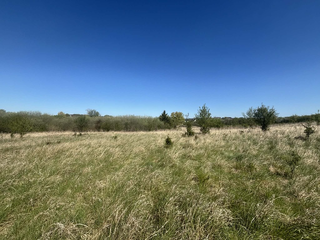 Działka na sprzedaż Gryfino 1 302 m2 | Arka Nieruchomości