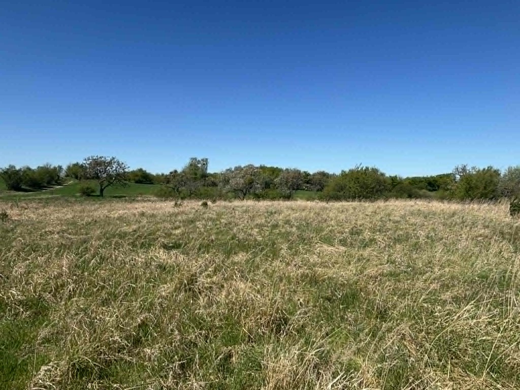 Działka na sprzedaż Gryfino 1 302 m2 | Arka Nieruchomości