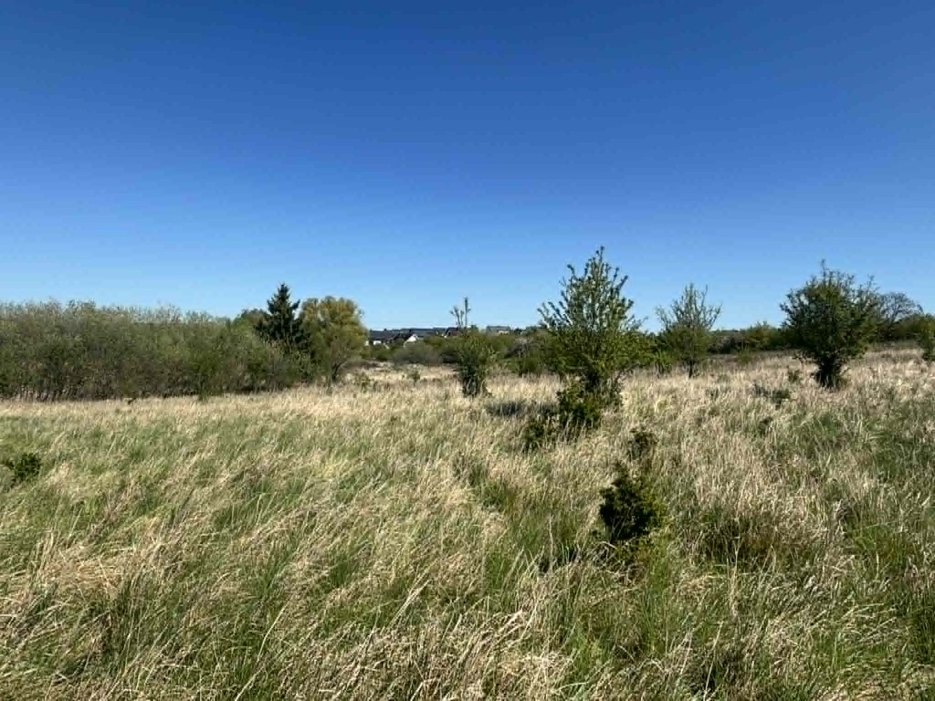 Działka na sprzedaż Gryfino 1 302 m2 | Arka Nieruchomości