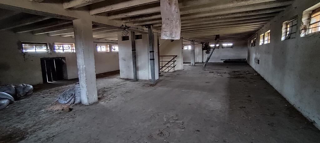 Obiekt na sprzedaż Budno 675 m2 | Arka Nieruchomości