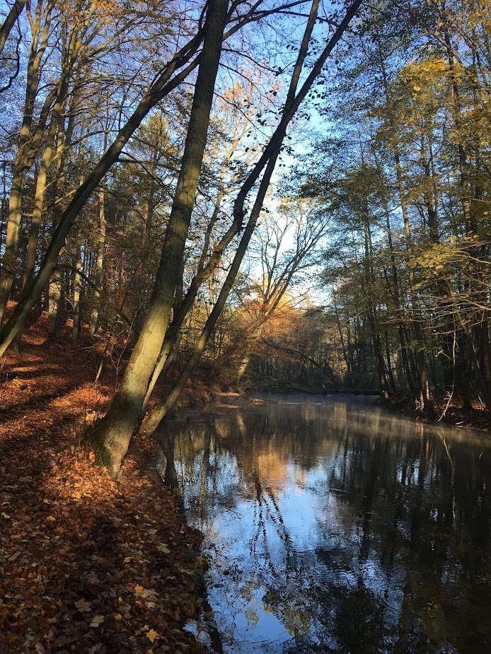 Dom na sprzedaż Szczecin, Jezierzyce 253 m2 | Arka Nieruchomości