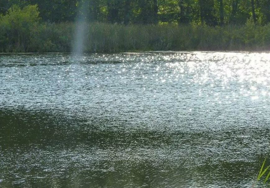 Działka na sprzedaż Zieleniewo 11 403 m2 | Arka Nieruchomości