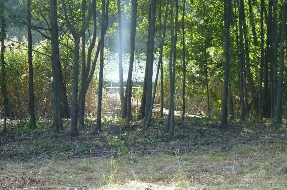 Działka na sprzedaż Zieleniewo 11 403 m2 | Arka Nieruchomości