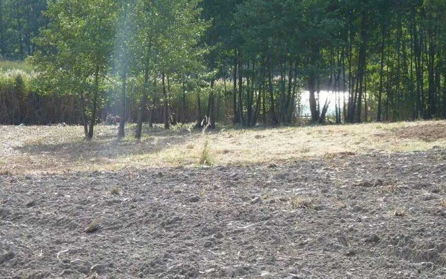 Działka na sprzedaż Zieleniewo 11 403 m2 | Arka Nieruchomości