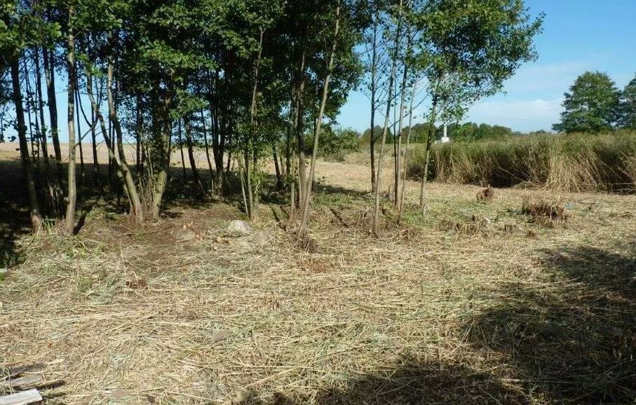 Działka na sprzedaż Zieleniewo 11 403 m2 | Arka Nieruchomości