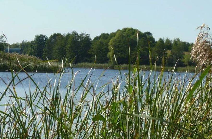 Działka na sprzedaż Zieleniewo 11 403 m2 | Arka Nieruchomości