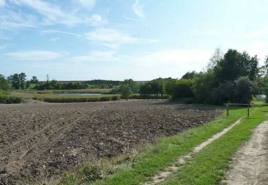 Działka na sprzedaż Zieleniewo 11 403 m2 | Arka Nieruchomości