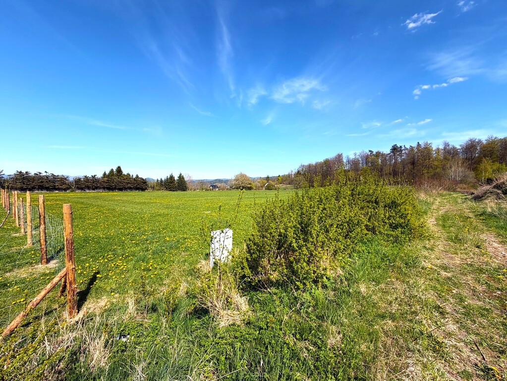 Działka na sprzedaż Karpacz 1 482 m2 | Arka Nieruchomości