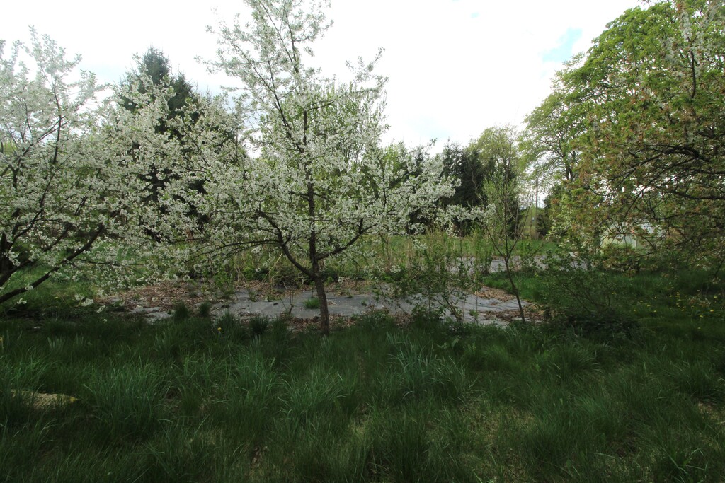 Dom na sprzedaż Nowe Resko 160 m2 | Arka Nieruchomości