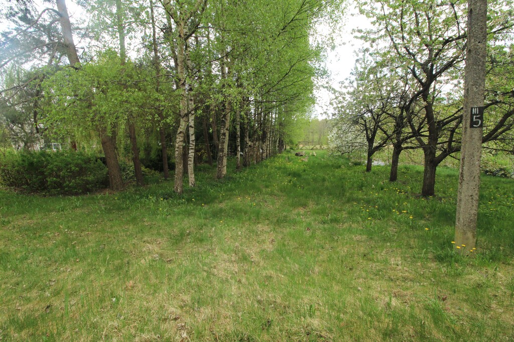 Dom na sprzedaż Nowe Resko 160 m2 | Arka Nieruchomości