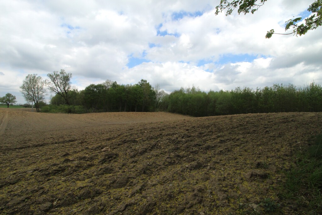 Dom na sprzedaż Nowe Resko 160 m2 | Arka Nieruchomości