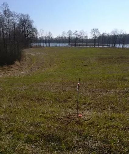 Działka na sprzedaż Kaszewo 3 985 m2 | Arka Nieruchomości