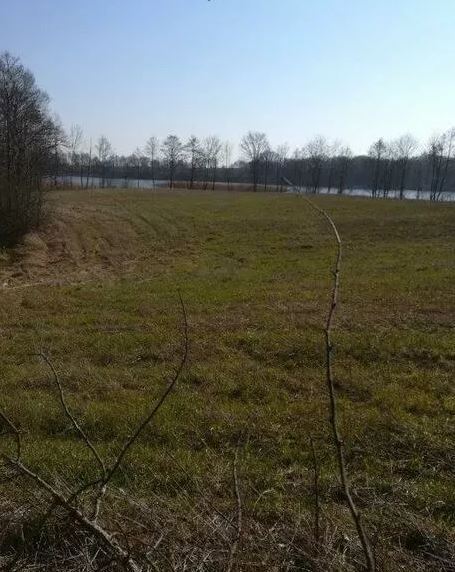 Działka na sprzedaż Kaszewo 3 985 m2 | Arka Nieruchomości