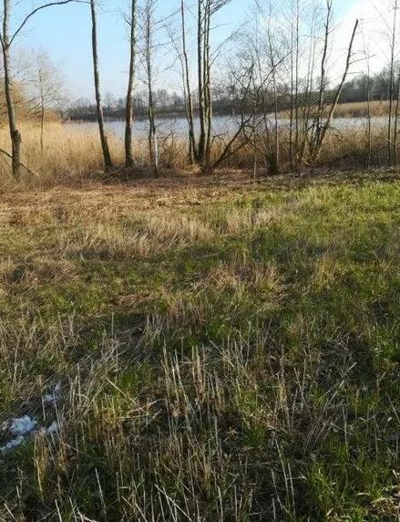 Działka na sprzedaż Kaszewo 3 985 m2 | Arka Nieruchomości