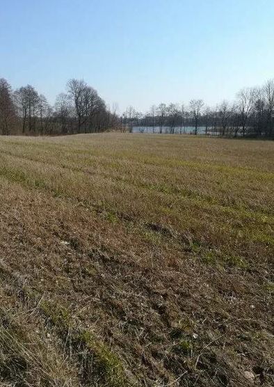 Działka na sprzedaż Kaszewo 3 985 m2 | Arka Nieruchomości