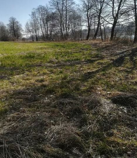 Działka na sprzedaż Kaszewo 3 985 m2 | Arka Nieruchomości