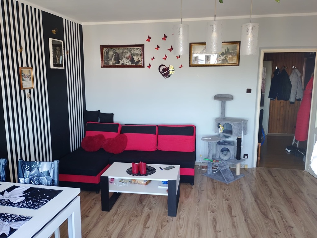 Mieszkanie na sprzedaż Gryfino 50 m2 | Arka Nieruchomości
