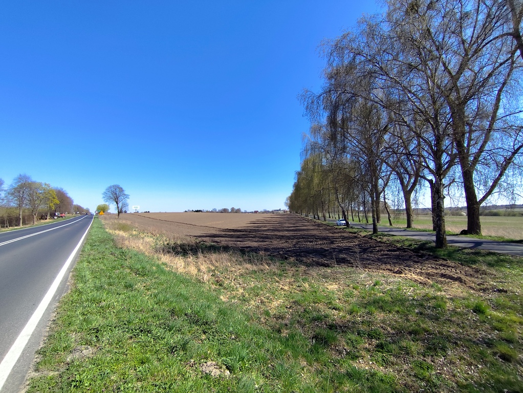 Działka na sprzedaż Wojcieszyn 64 200 m2 | Arka Nieruchomości