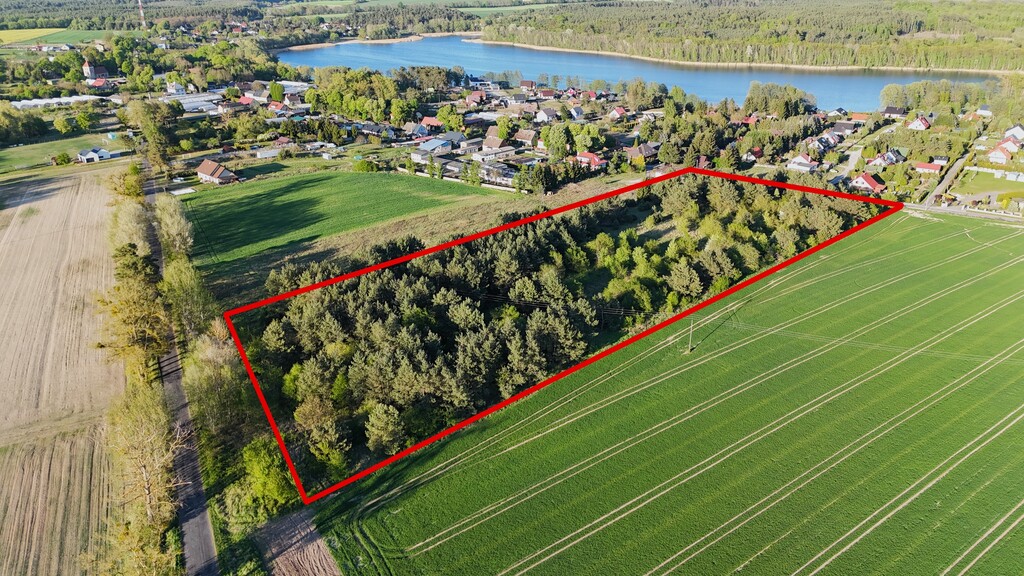 Działka na sprzedaż Steklno 3 005 m2 | Arka Nieruchomości